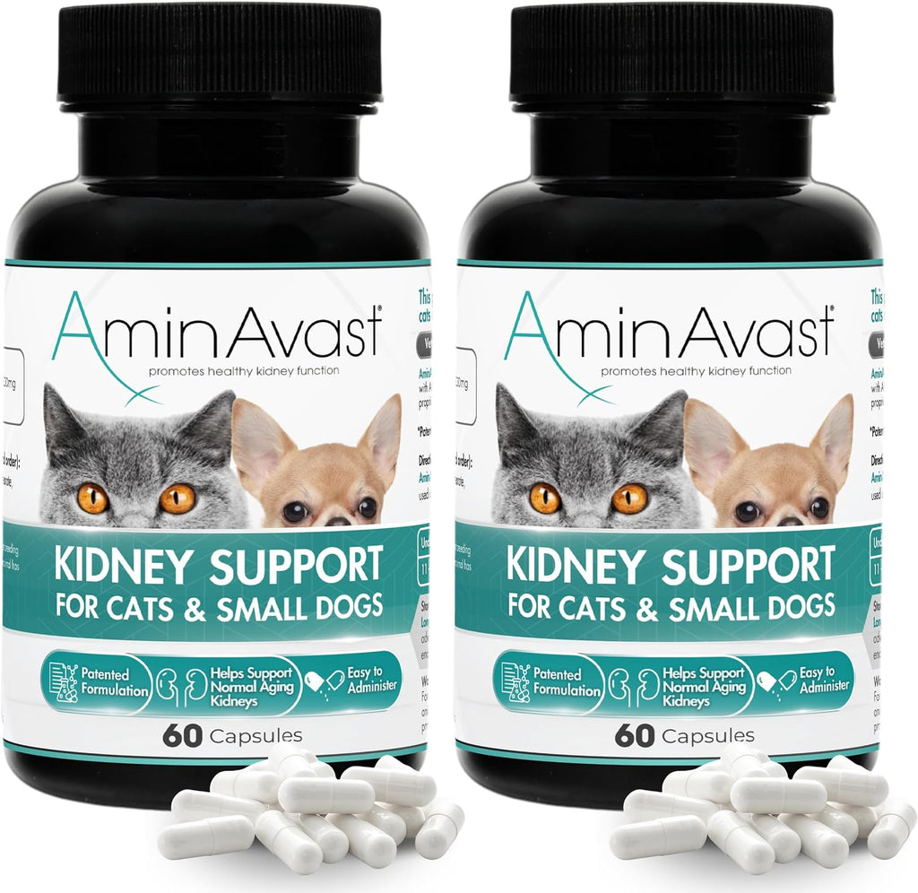 AminAvast Kidney Support Supplement for Cats and Small Dogs, 300mg – 60 Cápsulas (2-Pack)