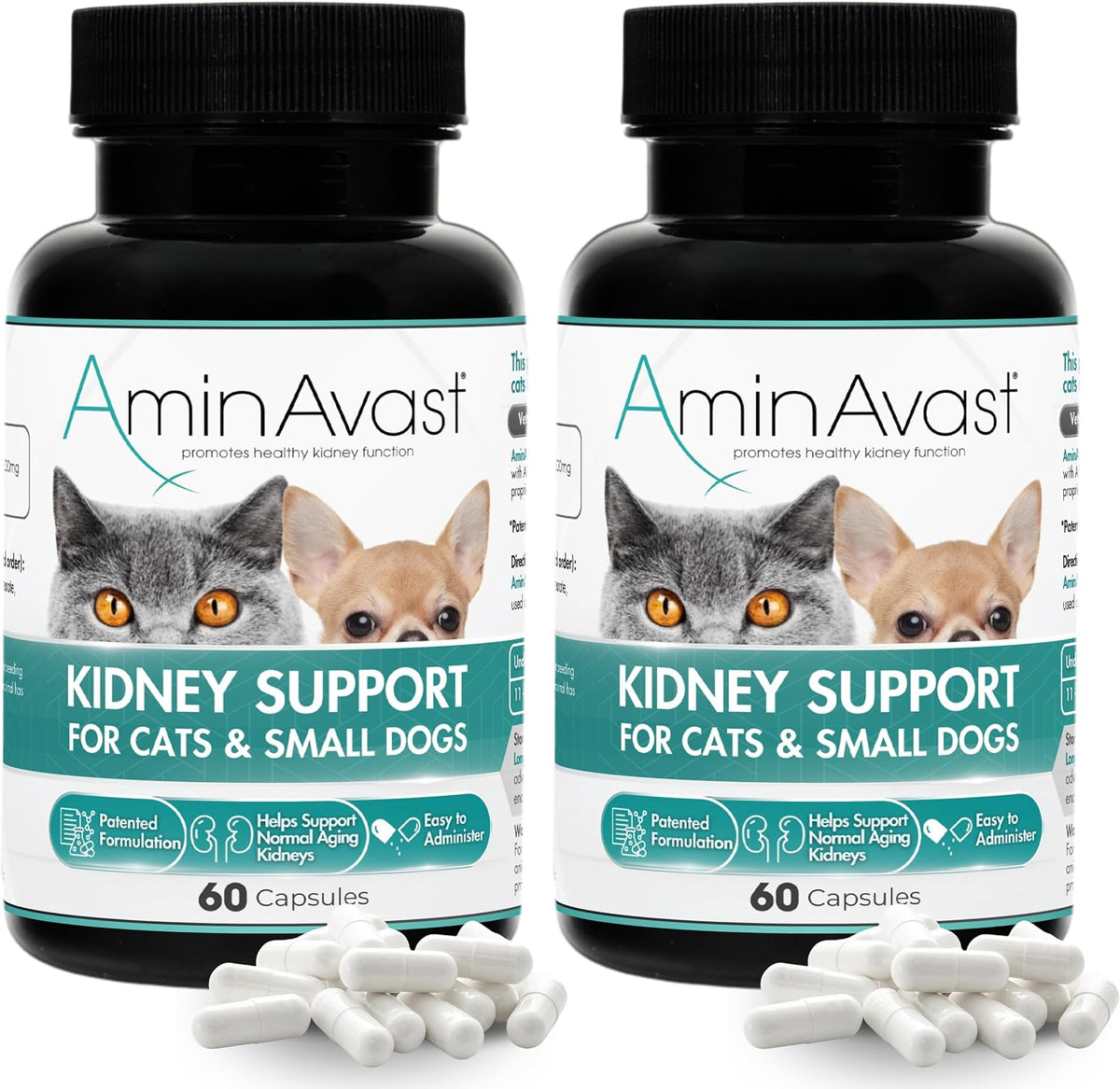 AminAvast Kidney Support Supplement for Cats and Small Dogs, 300mg – 60 Cápsulas (2-Pack) – Image 1