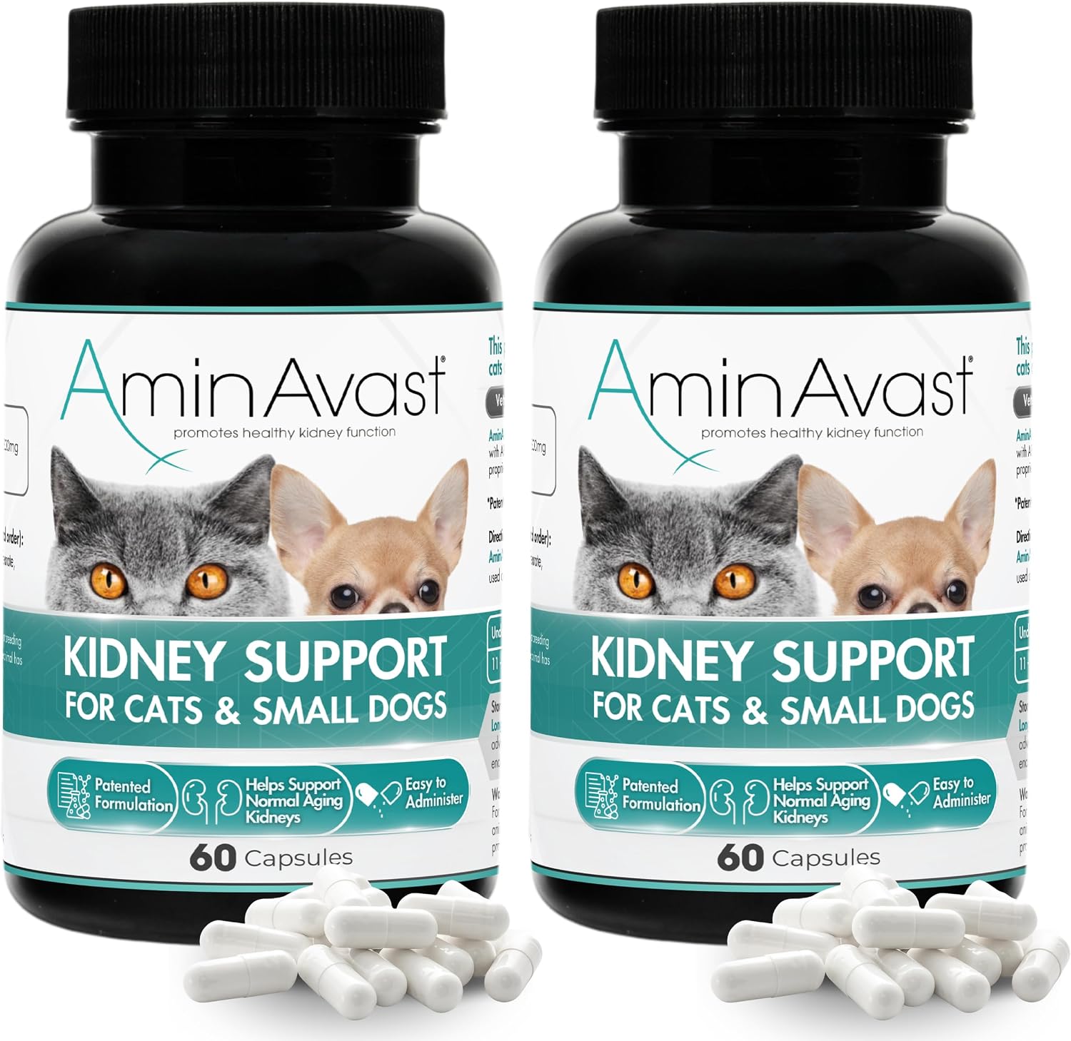 AminAvast Kidney Support Supplement for Cats and Small Dogs, 300mg – 60 Cápsulas (2-Pack)