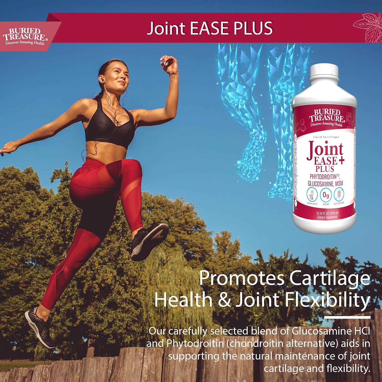 Buried Treasure Joint Ease Plus - 473 ml, Glucosamine and Chondroitin with MSM and Turmeric, Joint Supplement