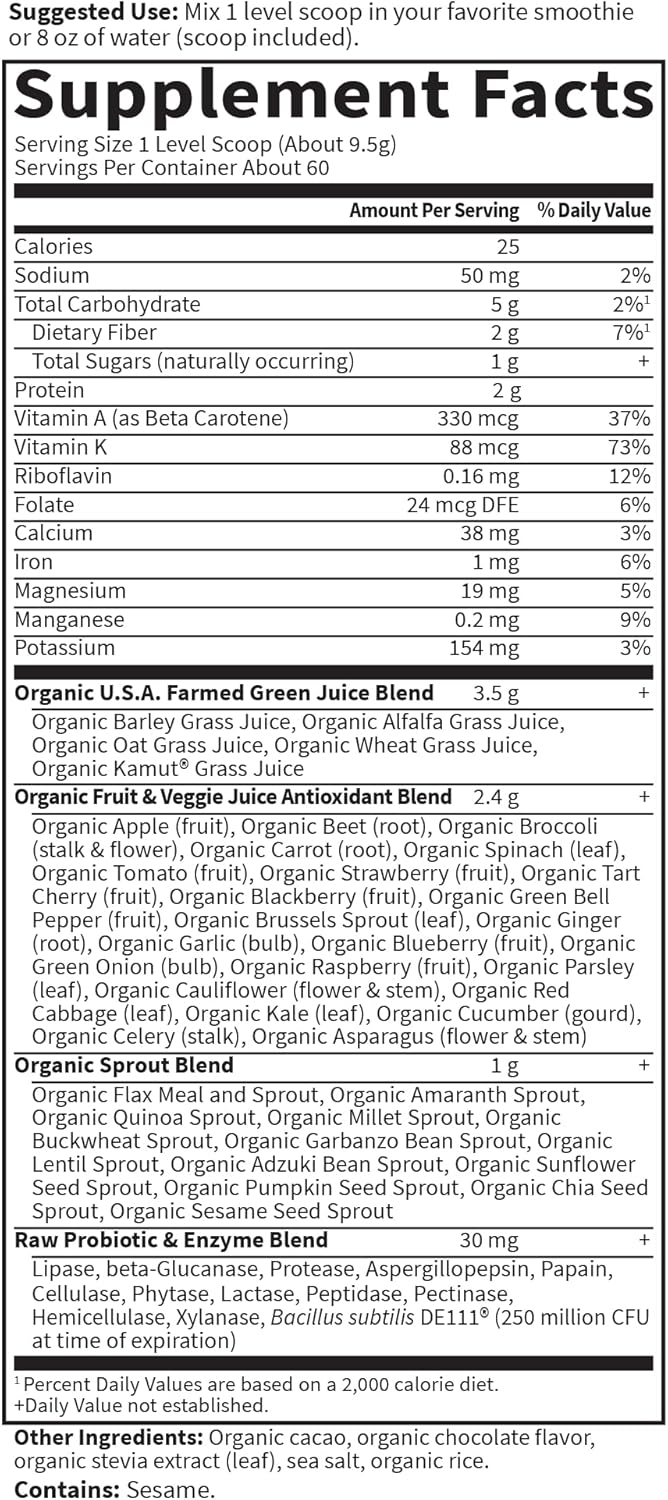 Garden of Life Raw Organic Perfect Food Green Superfood Juiced Greens Powder - Chocolate, 60 Raciones