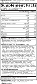 Garden of Life Raw Organic Perfect Food Green Superfood Juiced Greens Powder - Chocolate, 60 Raciones