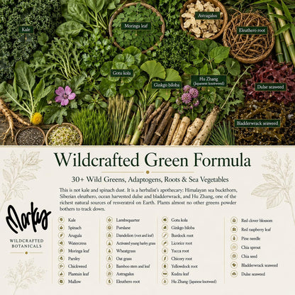 Wild Force GreenPro-C - Mezcla Premium de Superalimentos, Proteína Vegetal y Vitamina C – Image 5