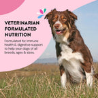 Happy Go Healthy Probióticos para Perros - Salud Digestiva e Inmunidad - Topper de Kibble Natural - 60 Comprimidos