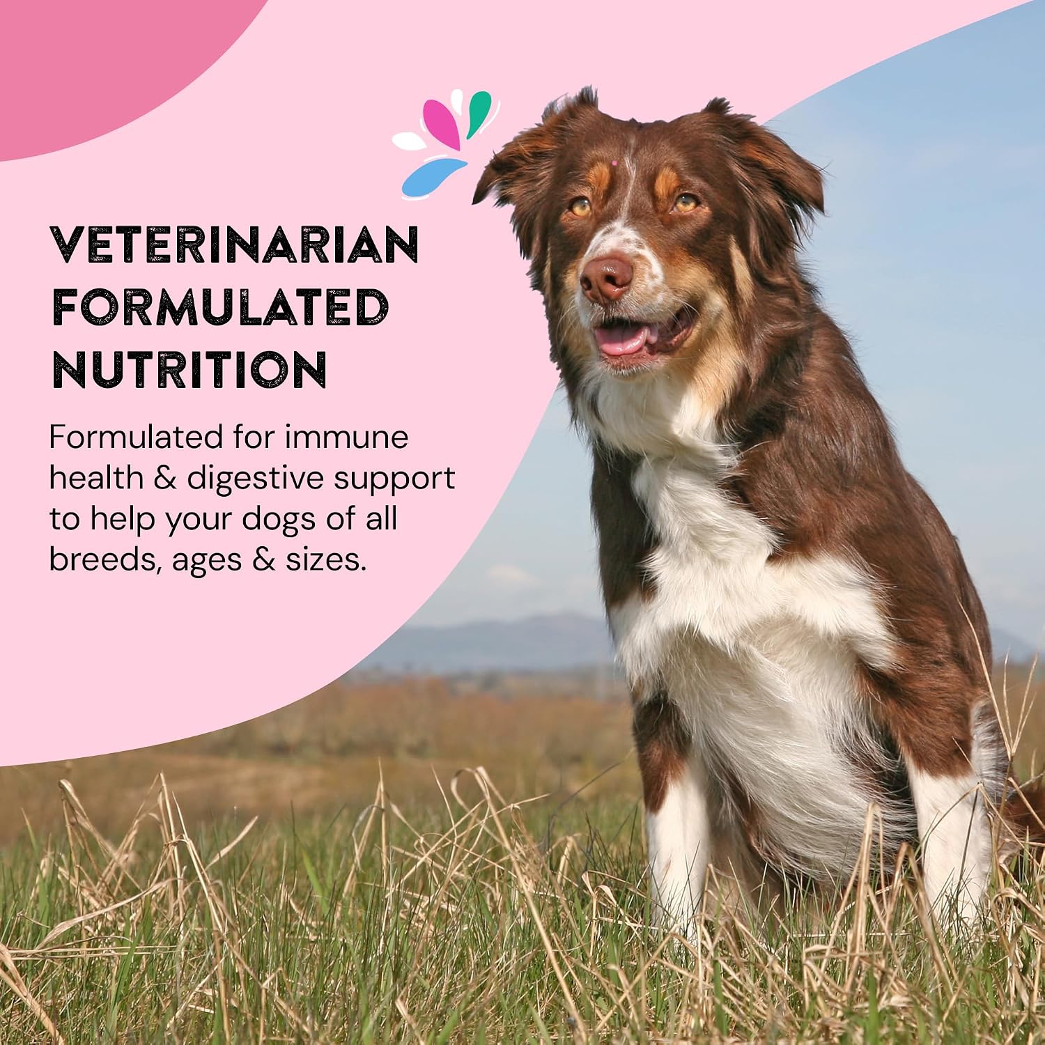 Happy Go Healthy Probióticos para Perros - Salud Digestiva e Inmunidad - Topper de Kibble Natural - 60 Comprimidos