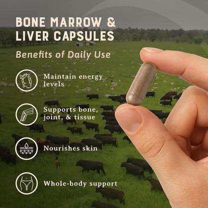 Heart & Soil – Suplemento de Médula Ósea e – Energía y vitalidad: La vitamina B12 contribuye al metabolismo – Image 3