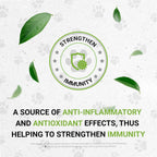 Wolf's Respiratory - Suplemento Herbal Natural para Perros - Extracto sin Alcohol (60 ml)
