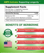 aSquared Nutrition Pure Berberine 1000mg - 180 Vegan Capsules