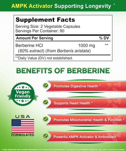 aSquared Nutrition Berberina Pura 1000mg - – Salud digestiva: Favorece el equilibrio de la microbiota intestinal. – Image 4