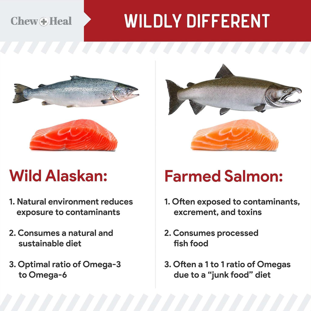 Pure Wild Alaskan Salmon Oil for Dogs - 16 oz - Sabor a Carne de Res - Aceite de Salmón para Perros
