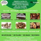 Complejo de Hongos para Perros y Gatos – 25%+ Beta-Glucanos – Mezcla de Extractos de Cuerpos Fructíferos (Cola de Pavo, Reishi, Maitake, Shiitake) – Apoyo Inmunitario y Digestivo – Sin Micelio, Sin Rellenos – 250 Servicios