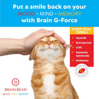 Brain G-Force | Suplemento para la Función Cognitiva | con Galantamina, Ácido R-Lipoico, A-GPC y Benfotiamina | 45 Servicios