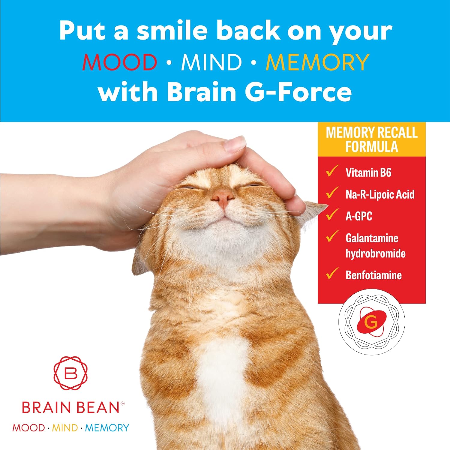Brain G-Force | Suplemento para la Función Cognitiva | con Galantamina, Ácido R-Lipoico, A-GPC y Benfotiamina | 45 Servicios