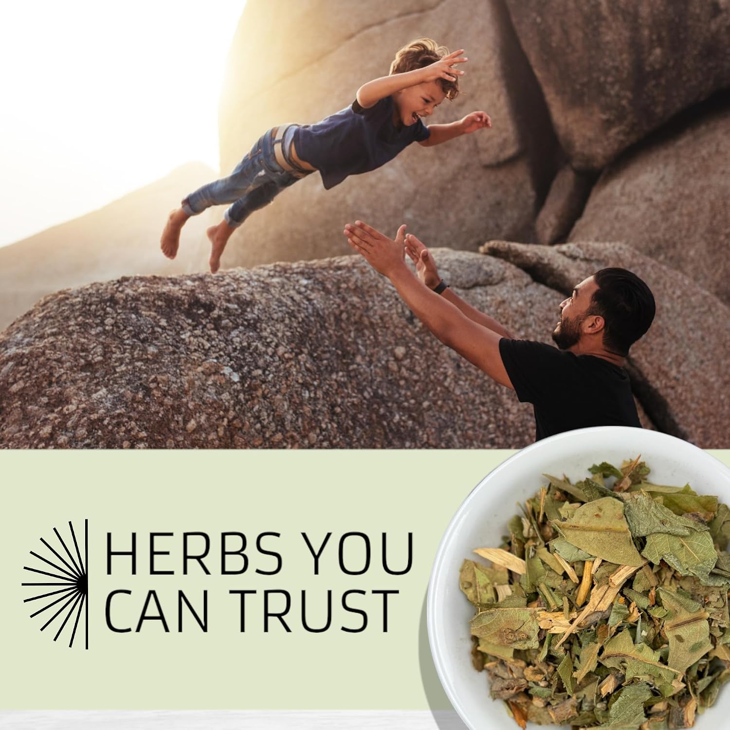 Evergreen Herbs Níspero 8 Oz - Eriobotrya Japonica (Níspero)