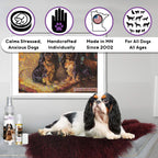 The Blissful Dog English Toy Spaniel Relax Roll-On Aromaterapia para Perros