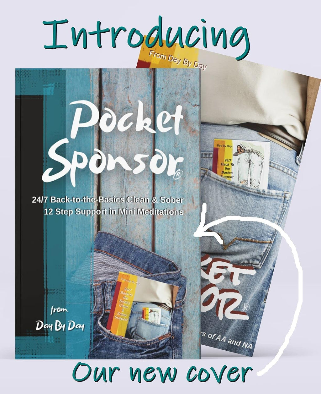 Pocket Sponsor: 24/7 12-Step Support in Mini Meditations for Alcoholism Recovery