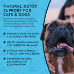 Detox Blend - Suplemento Hepático para Perros y Gatos, Fórmula Herbal Orgánica, Recomendado por Veterinarios, 1 oz