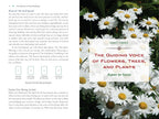 Plant Energy Medicine: The Guiding Voice and Healing Vibration of 58 Plants (Sacred Planet)