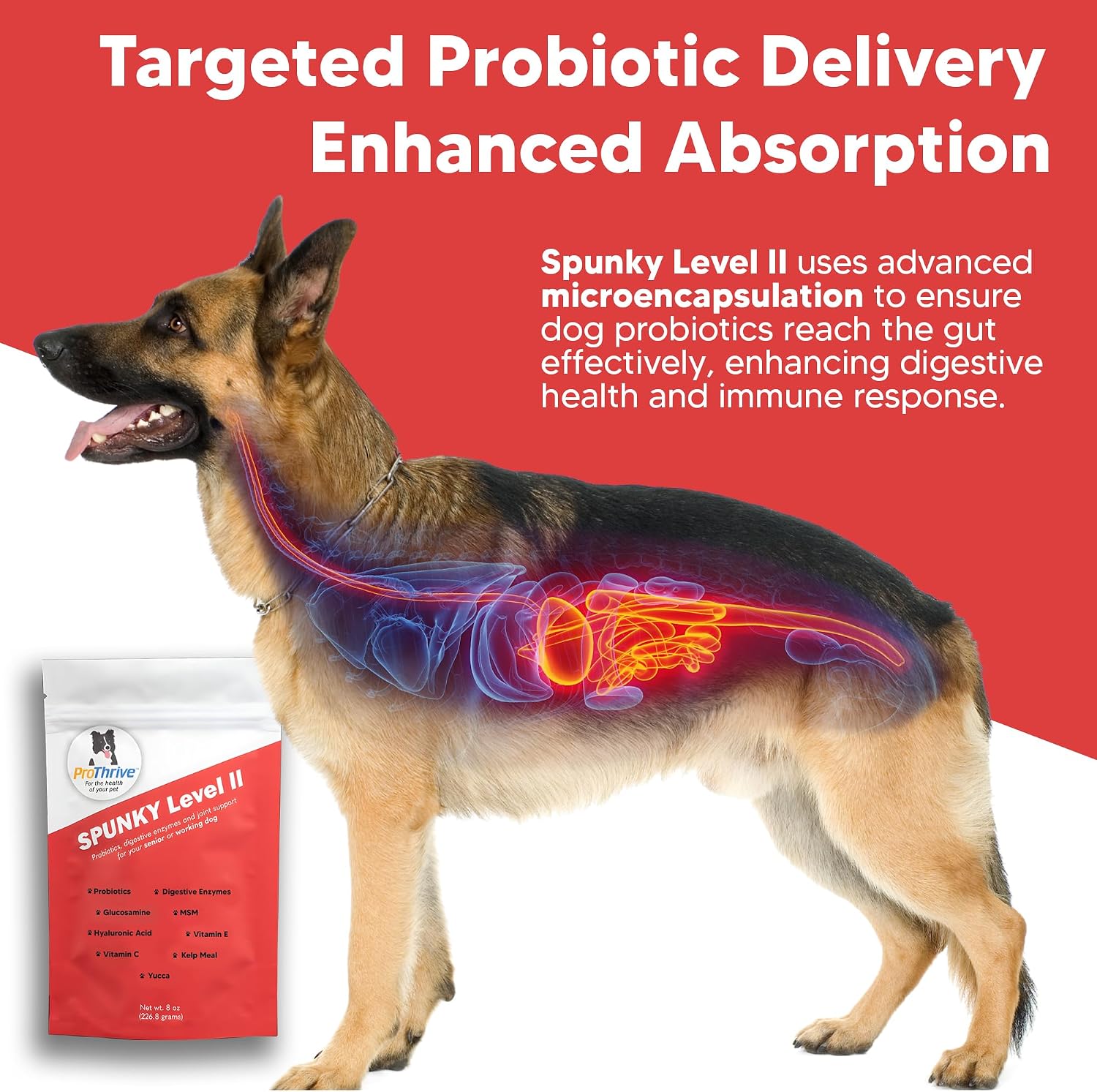 Spunky Nivel II Probióticos Formulados para Perros, 227 g