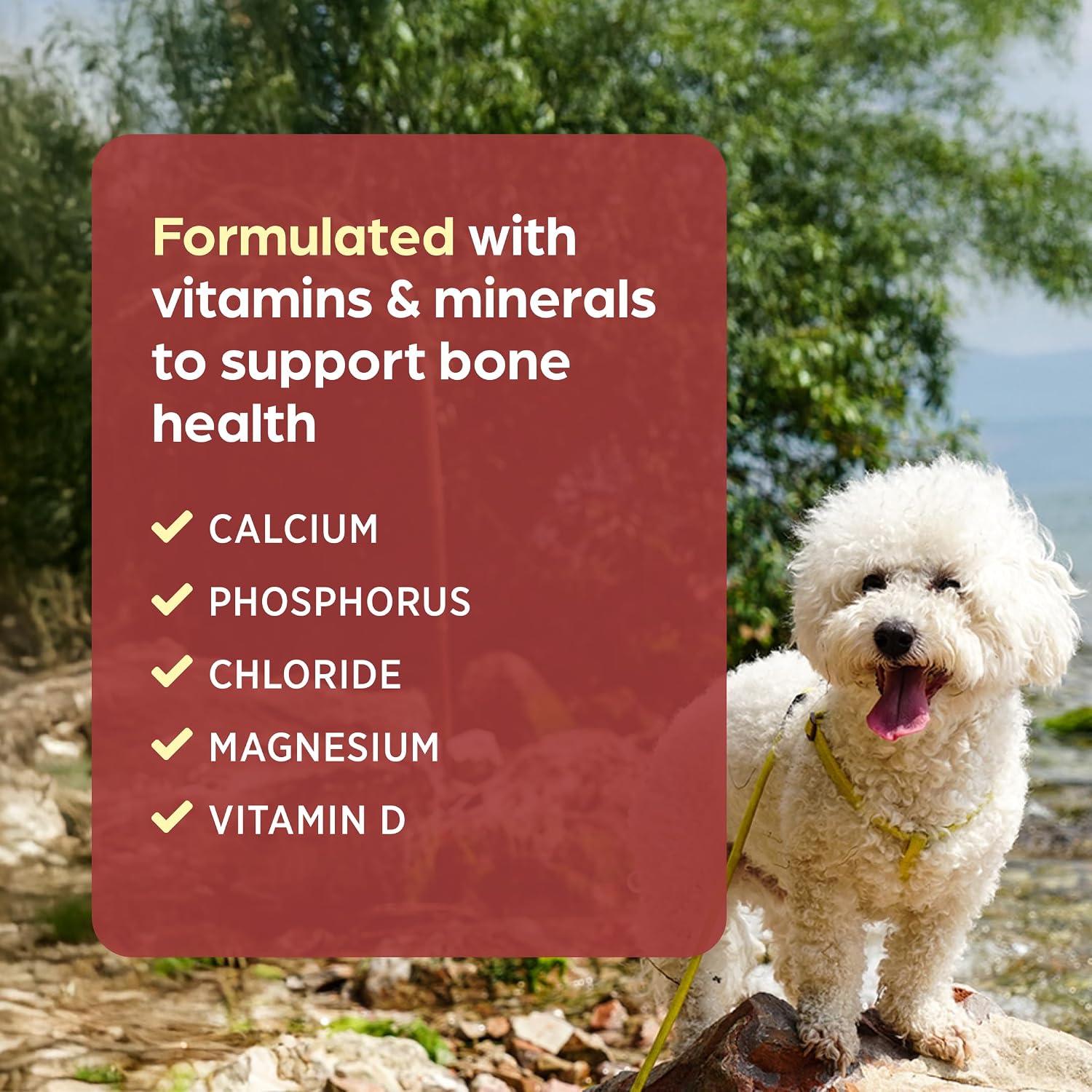 Pet-Cal Suplemento de Calcio, Fósforo y Vitamina D para Perros y Gatos - Comprimidos Masticables, 60 unidades