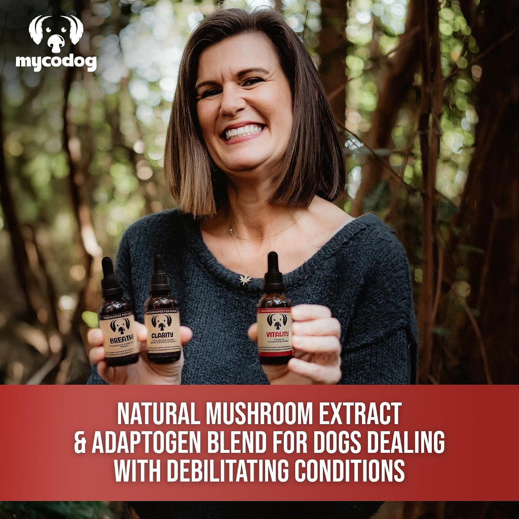 MycoDog Vitality - 20-in-1 Mushroom & Adaptogen Supplement for Dogs - Immune Health, Senior Dog, & Daily Wellness Support - Turkey Tail Mushroom for Dogs, Reishi, Chaga