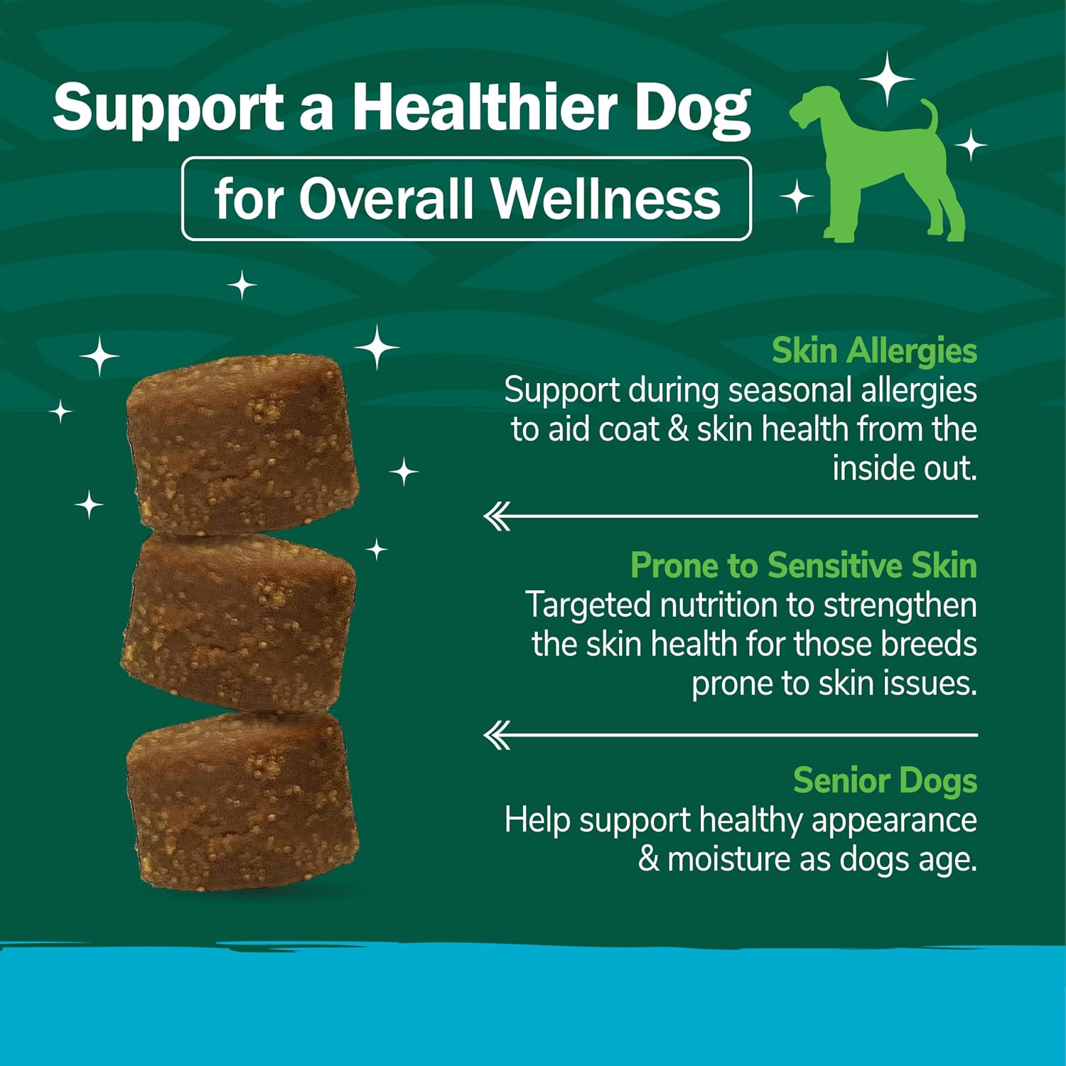 Petnc Natural Care Suplemento para Piel y Pelaje para Perros (60 Masticables) con Omega 3, EPA y DHA, Sabor a Hígado