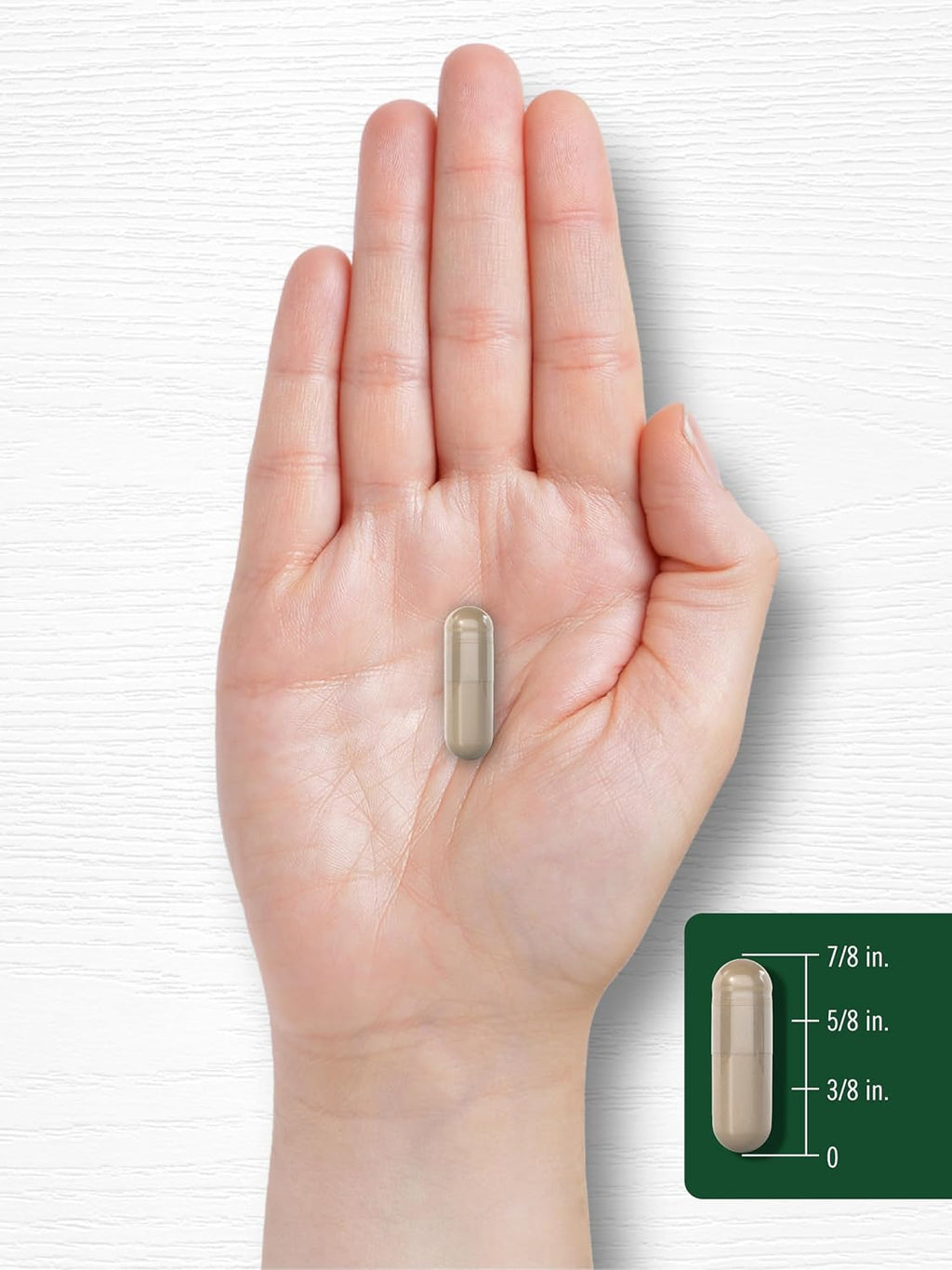 Carlyle Corteza de Magnolia | 180 Cápsulas en Polvo | Suplemento de Extracto Herbal | No-GMO, Sin Gluten