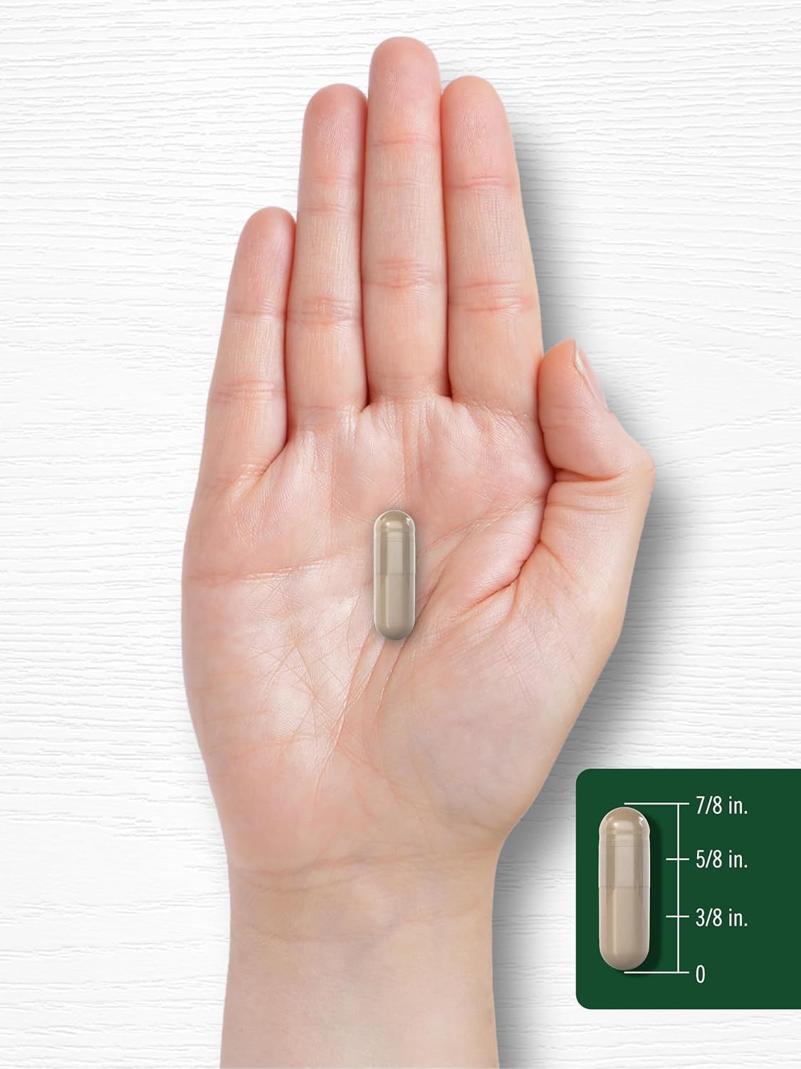 Carlyle Corteza de Magnolia | 180 Cápsulas en Polvo | Suplemento de Extracto Herbal | No-GMO, Sin Gluten