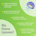 UpNourish Liposomal D3 K2 MK-7 – 365 Mini Softgels