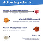 Superior Source Triple B-12 NO Shot 3,000 mcg - Suplemento para el sistema cardiovascular y energía - Apoyo para la salud del corazón con metilcobalamina - 60 comprimidos de disolución instantánea