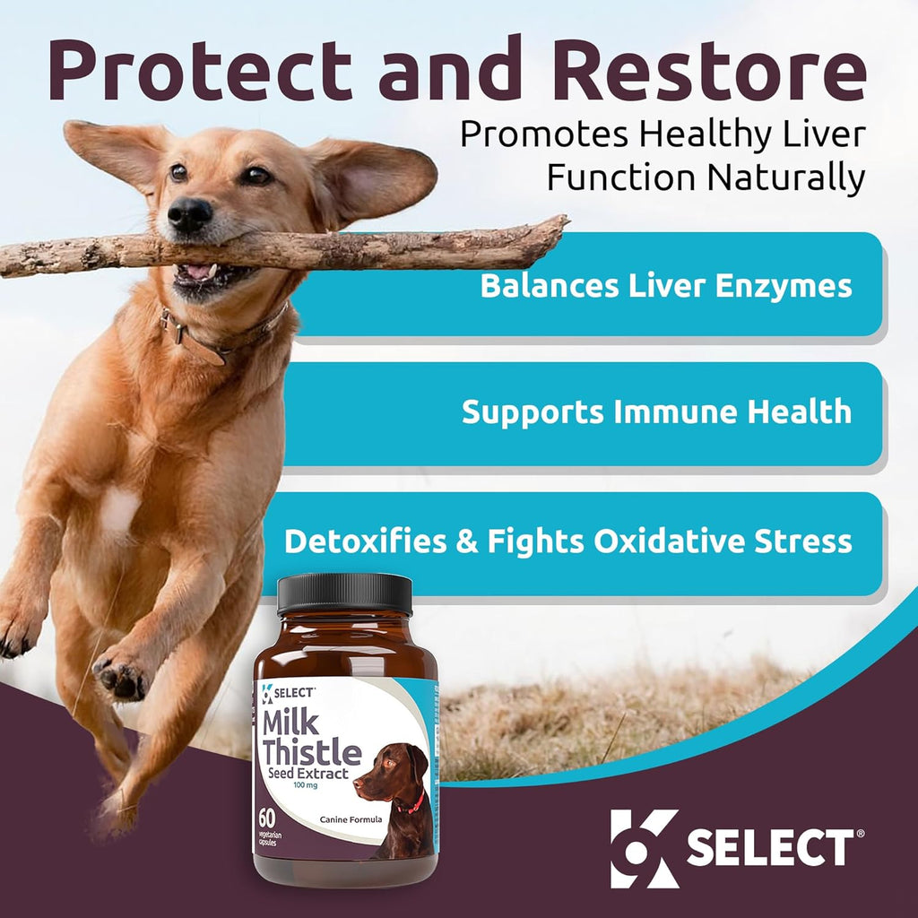 Milk Thistle for Dogs, 100mg - 60 Vegetable Capsules - Canine Liver Supplement