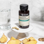 Nature's Sunshine Artemisia Combination, 100 Cápsulas, Kosher