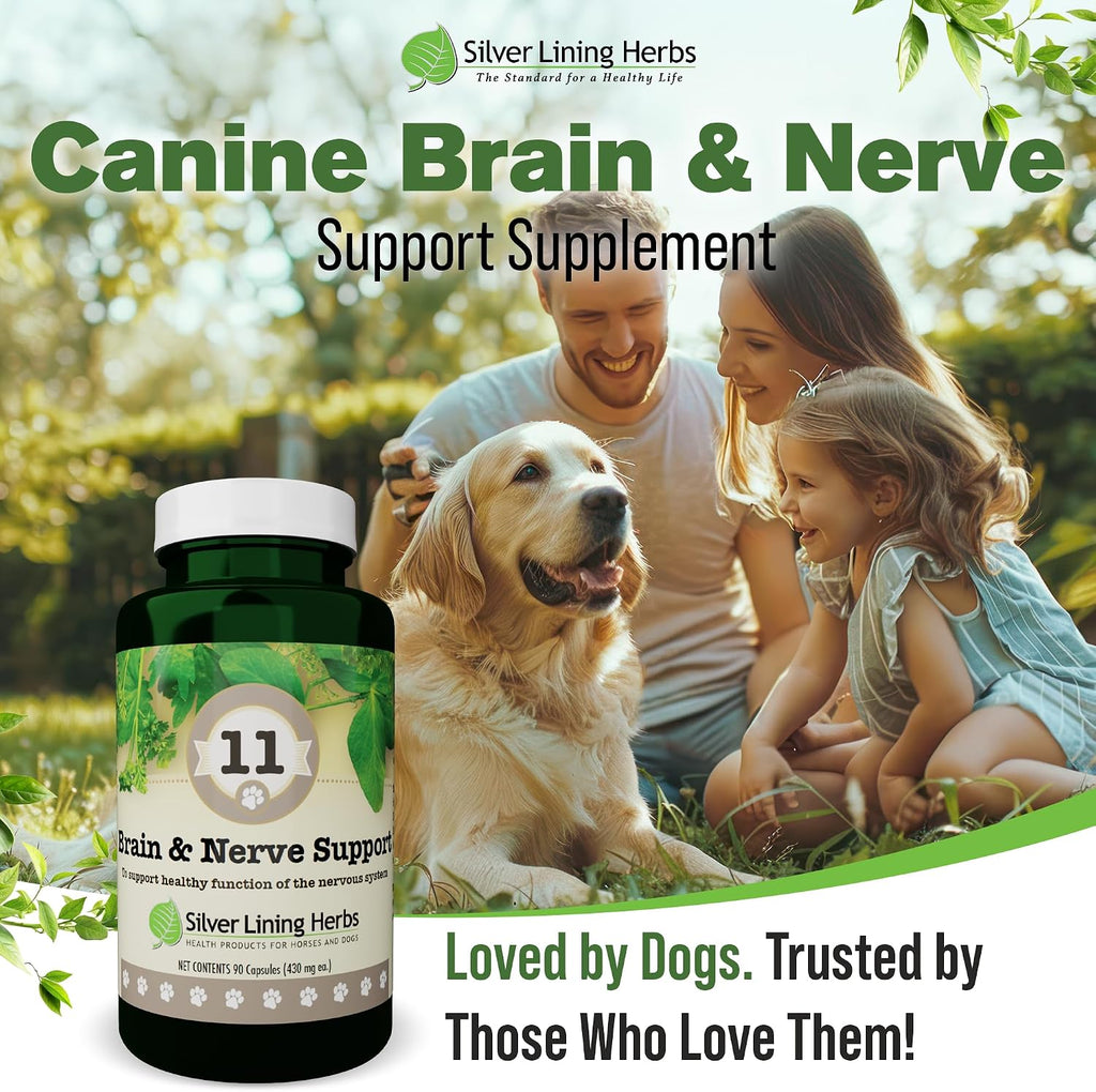 Silver Lining Herbs Suplemento cerebral y nervioso para perros - 90 Cápsulas
