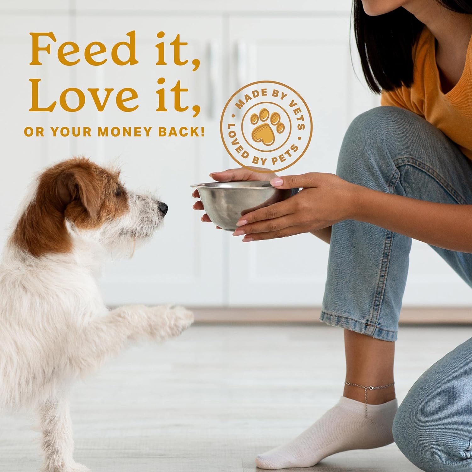 The Missing Link Skin & Coat + Probiotics 454g - Suplemento en polvo para perros