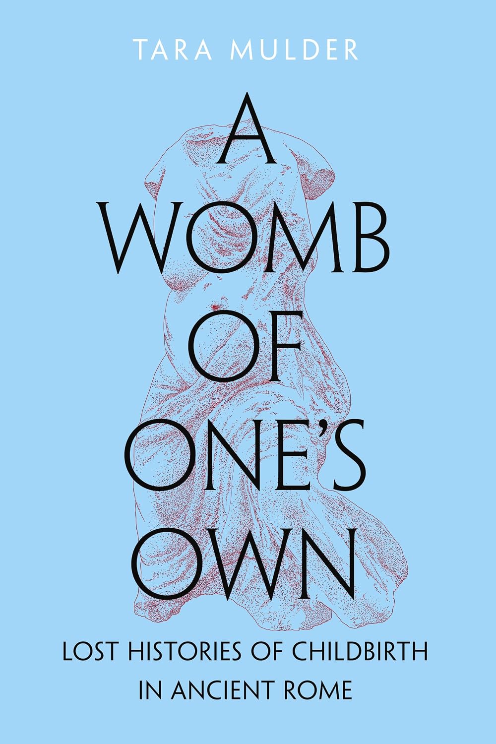 A Womb of One's Own: Lost Histories of Childbirth in Ancient Rome - görsel 1