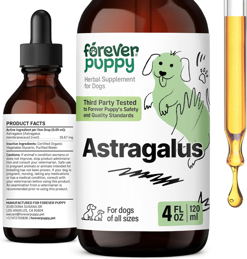 Astragalus Root Drops for Dogs - Astragalus Membranaceus Extract for Dogs' Immune Support - Herbal Pet Liquid Supplements for Immunity & Joyful Pet Care - 4 oz