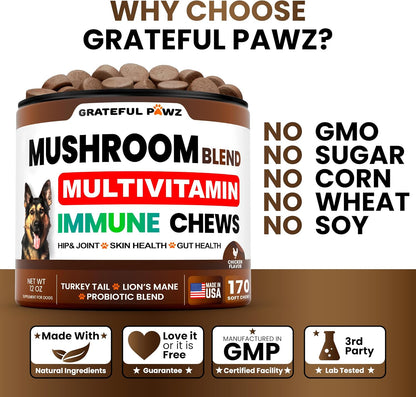 Suplemento de Hongo Cola de Pavo para Perros – 170 Chewables – Multivitamínico con Hongos, Glucosamina y Probióticos – Image 4