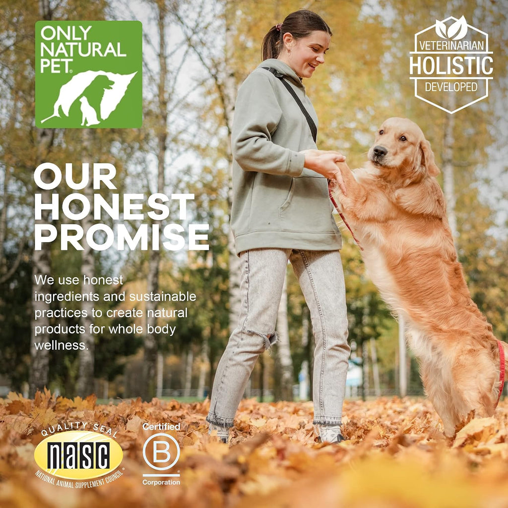 Only Natural Pet Mezcla de Hongos para Perros - Apoyo Inmunológico, Digestivo y Celular - 60 Gomitas Suaves Sabor Bacon