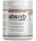 Absorb Plus Isolate Protein - Suplemento Dietético para la Salud Digestiva, Apoyo Nutricional Extra, No-GMO, Sin Gluten, Sin Lactosa, Sin Caseína (100 g, Mocha Grande)