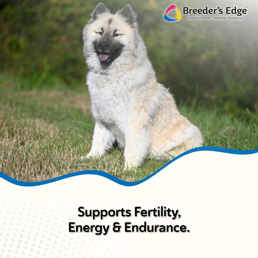 Breeder's Edge Oxy Stud – Suplemento multivitamínico para perros y gatos machos, masticables suaves, 60 unidades para razas medianas y grandes