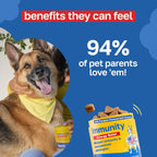 Happy Paws Suplemento de Cúrcuma para Perros, Bienestar Diario y Apoyo Inmunológico para Todas las Razas y Edades, Hecho con Cúrcuma, Calostro y Hongos Turkey Tail, Sabor a Calabaza, No Transgénico, 200 Masticables Blandos