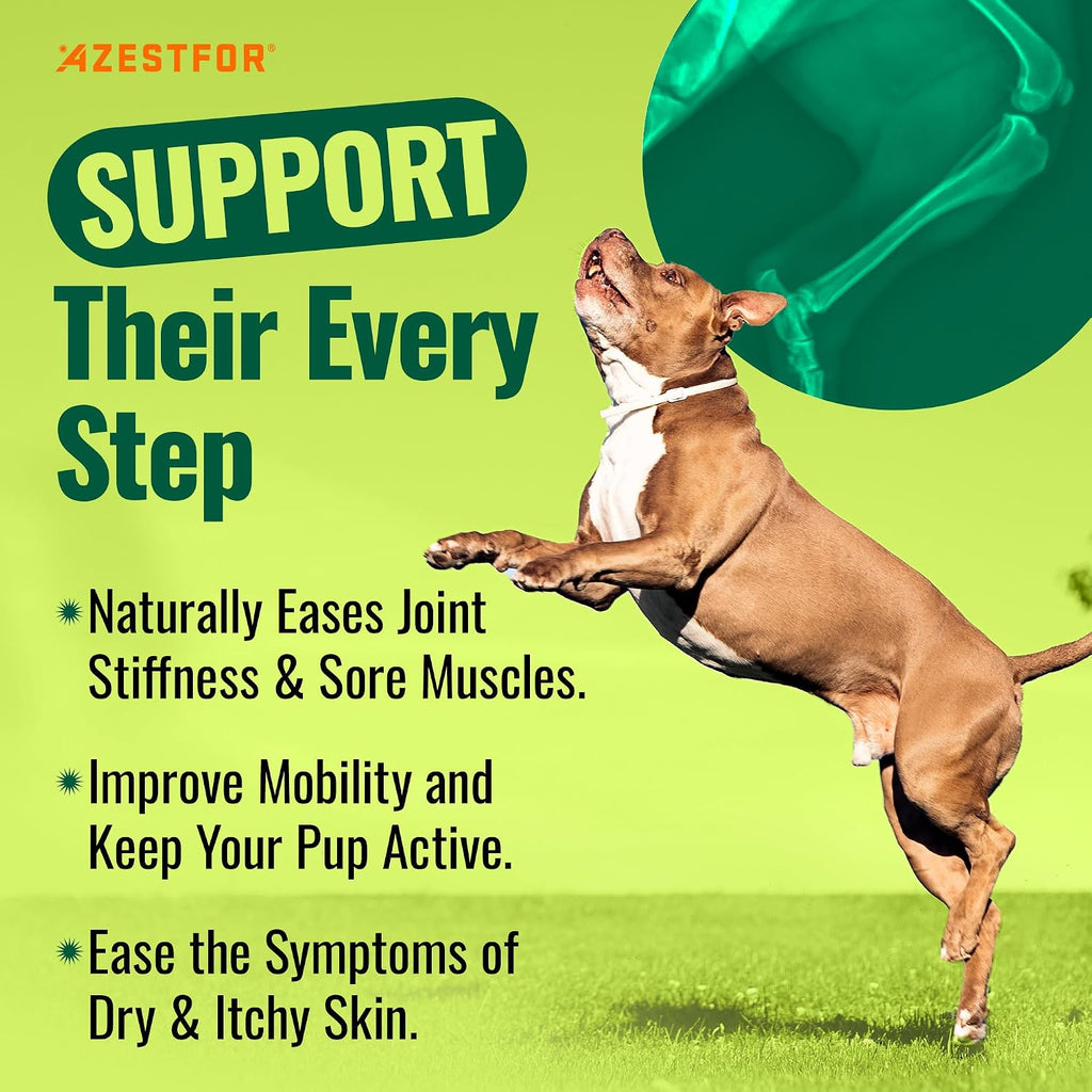 Azestfor Polvo de Mejillón de Labio Verde Antiinflamatorio para Perros