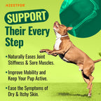 Azestfor Polvo de Mejillón de Labio Verde Antiinflamatorio para Perros