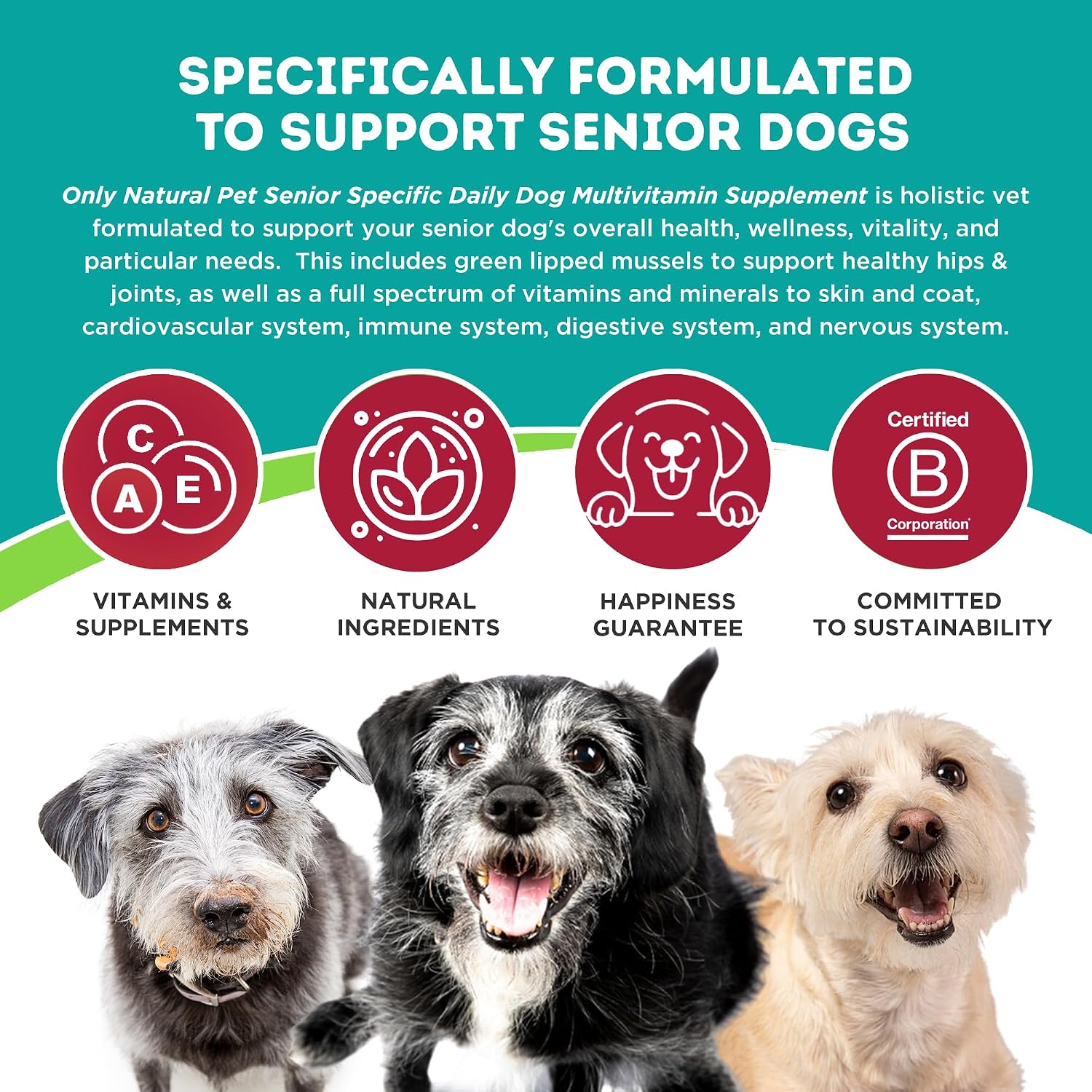 Only Natural Pet Senior Ultimate Daily - Suplemento vitamínico para perros mayores - 150 g en polvo sabor pavo
