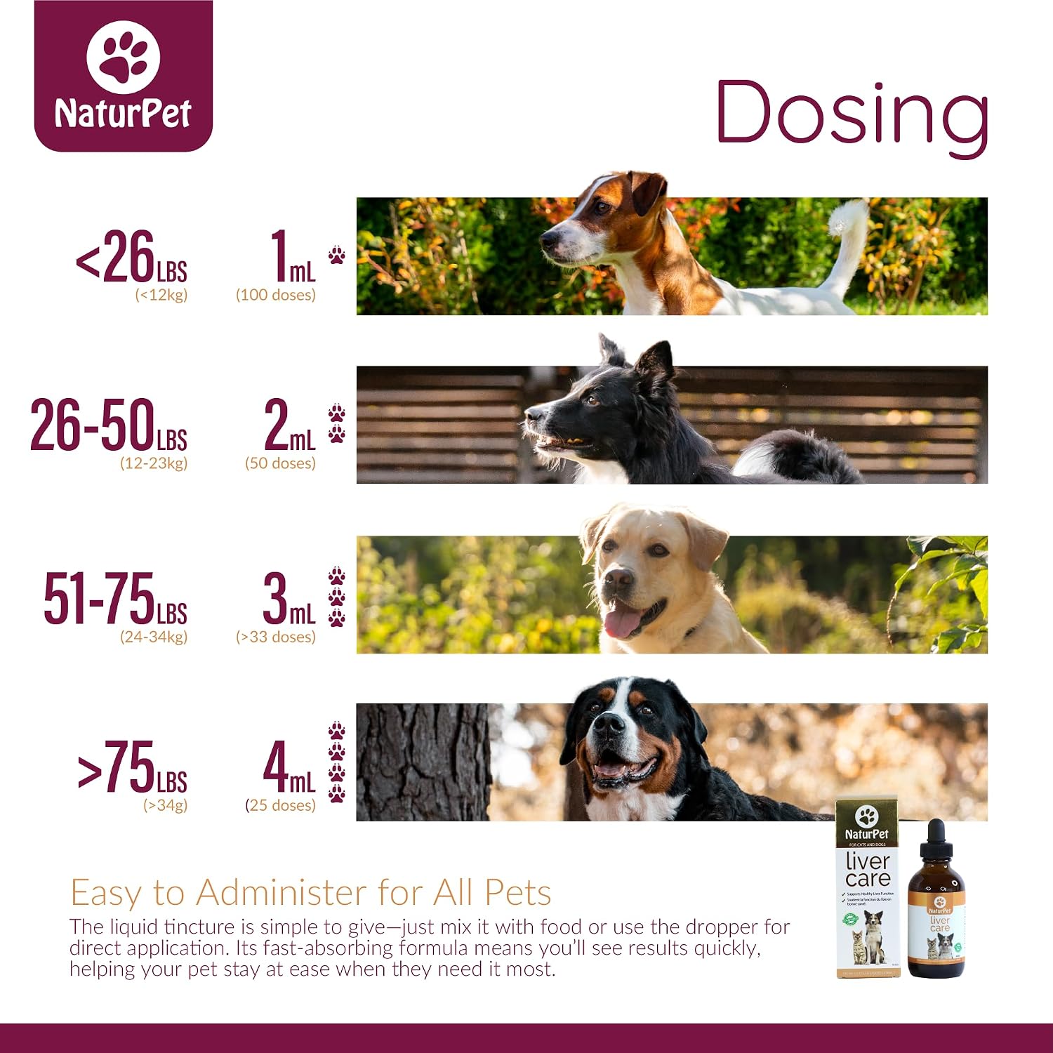 Arrowleaf Pet Liver Care para Perros y Gatos | Tintura Herbal de Cardo Mariano | 100 mL