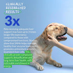 Same para Perros 90 Masticables Suaves - Apoyo Hepático, Cerebral y Cognitivo