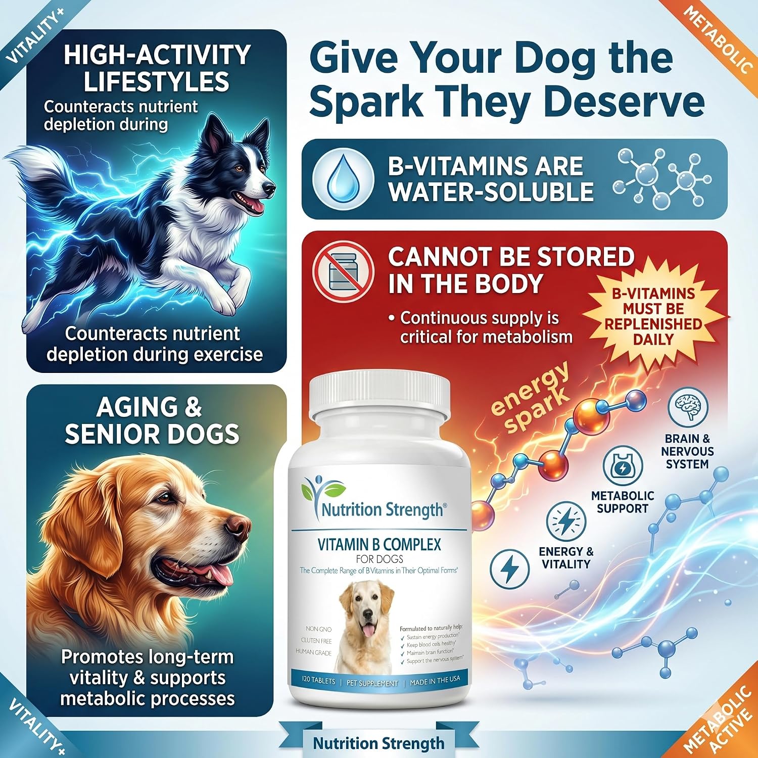 Nutrition Strength Complejo B para Perros, 120 Comprimidos Masticables