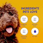 Wonder Paws Cardo Mariano para Perros - Soporte Hepático y Renal con Aceite de Salmón de Alaska y Cúrcuma (118 ml)