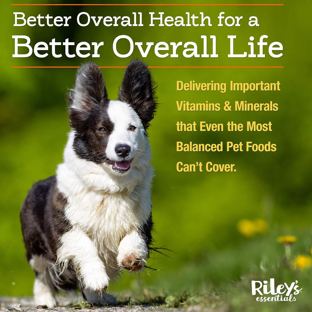 Riley's Multi-Essentials Multivitamínico para Perros - 226g en Polvo