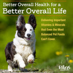 Riley's Multi-Essentials Multivitamínico para Perros - 226g en Polvo